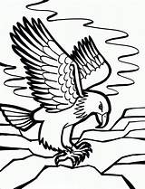 Eagle Coloring Pages Bald Printable Kids Color sketch template