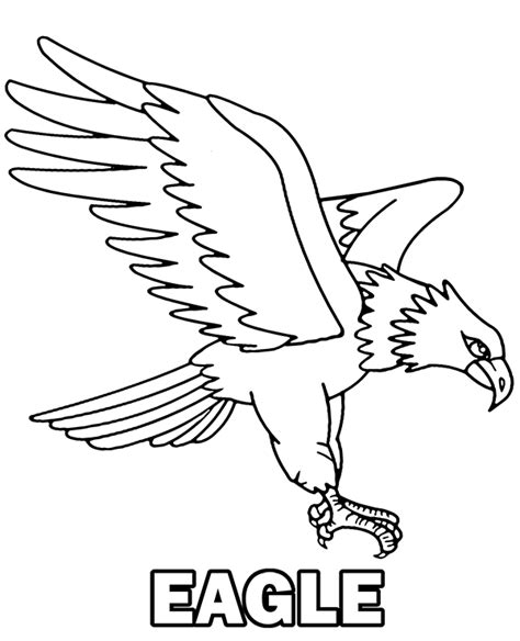 eagle coloring page  print