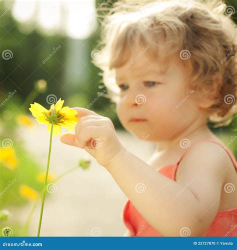 child touching spring flower stock photo image