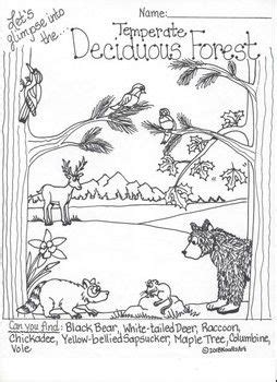 ecosystem interactive coloring pages ecosystem drawing student