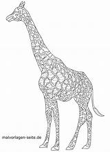 Giraffe Mosaik Malvorlage Ausmalbild Tiermandala Ausmalen Mandalas Erwachsene sketch template