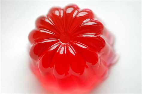 jelly food photo  fanpop