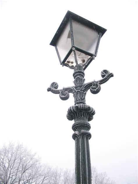 lamppost  photo  freeimages