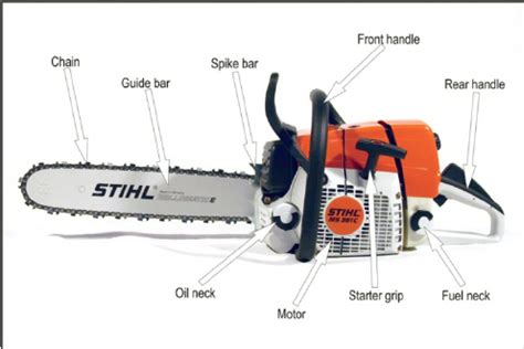 terminology  basic parts   scientific diagram