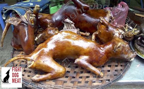 christian churches endorse eating dog meat fight dog meat