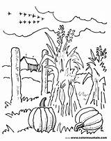 Coloring Pages Fall Scene Scenery Farm Autumn Corn Stalks Drawing Colouring Color Sheet Getcolorings Getdrawings Printable Beautiful Print Arrived Just sketch template