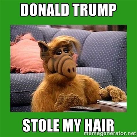 16 donald trump hair memes so funny you ll actually be grateful he s
