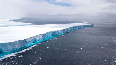 a68 iceberg that became a social media star melts away bbc news