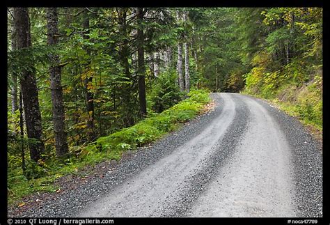 Picture Photo Cascade River Road North Cascades National Park