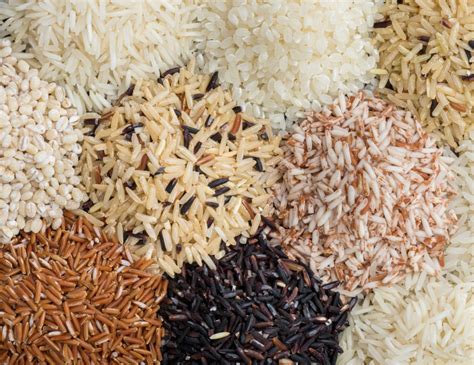 rice varieties  characteristics   sparkling life