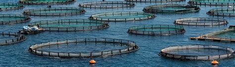 aquaculture july