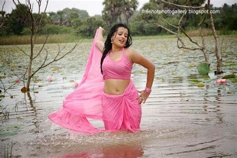 hot and sexy photo gallery for all over the world actress roopika hot