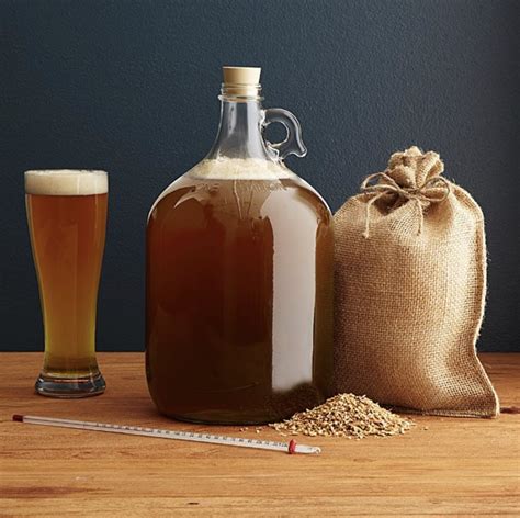 Beer Brewing Kit Best Christmas Ts For Couples 2019 Popsugar