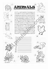 Crossword Animal Worksheet Preview sketch template