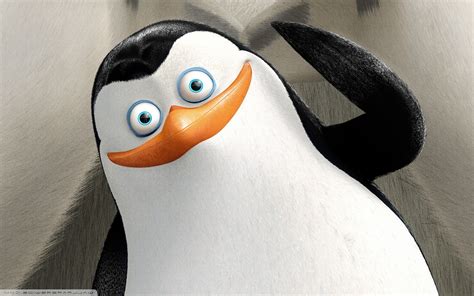 penguins  madagascar cartoon movies wallpapers hd desktop