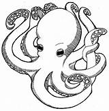 Tintenfisch Oktopus Ausmalbild sketch template