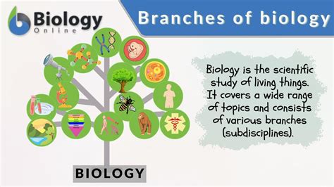 branches  biology biology  dictionary
