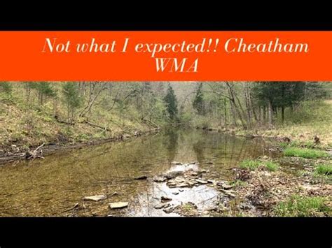 check  cheatham wma tn youtube