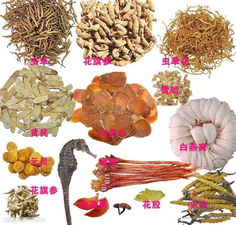 chinese medicine food identification chinesemedicine resolved ask metafilter
