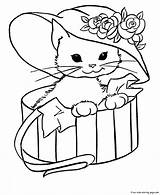 Coloring Cat Pages Printable Animals Kitty Cute Kids Sheet Colouring Cats Color Animal Print Sheets Printables Para Box Girls Care sketch template