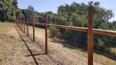 Deer Fences