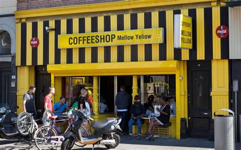 Why Amsterdam’s Oldest Cannabis Coffeeshop Has Been