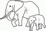 Coloring Elephant Pages Preschoolers Print sketch template