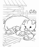 Coloring Pages Animal Pig Farm Kids Printable Pigs Baby Animals Sheets Print Color Adult Sheet Honkingdonkey Cute Colouring Books Clipart sketch template
