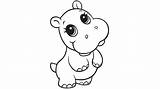 Hippo Hippopotamus Hippos Colour Cow Malvorlagen Flusspferd Prinzessin Zeichnung sketch template