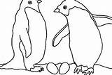 Penguin Adelie Designlooter 38kb sketch template