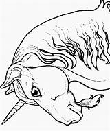 Eenhoorn Colorat Pegasus Unicorni Licorne Planse Animale Unicorno Ausmalbilder Desene Unicorns Disegni Desenat Colorare Dieren Ponei Einhorn Unicornio Tiere Desen sketch template