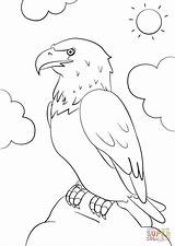 Eagle Coloring Cartoon Bald Pages Drawing Printable sketch template