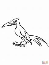 Magpie Bird Coloring Caricature Pages Designlooter Supercoloring Color Drawing Categories sketch template