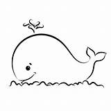 Whale Whales sketch template