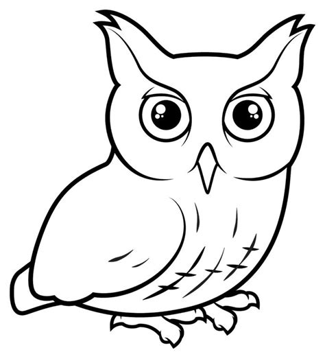 pin  dorothy condrey  owls owls drawing owl coloring pages bird