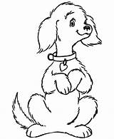 Dog Coloring Pages Funny sketch template