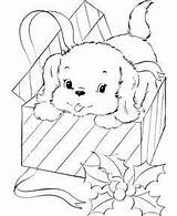 Coloring Pages Puppy Christmas Present Printable Dog Sheets Choose Board sketch template