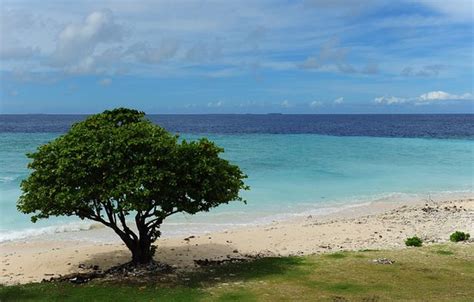 Falalop Images Vacation Pictures Of Falalop Ulithi Atoll Tripadvisor