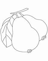 Guava Coloring Pages Drawing Sketch Kids Fruit Juice Color Two Sheets Bestcoloringpages Colouring Print Vector Guavas Printable Fruits Clip Sketches sketch template