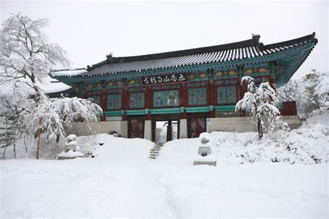 city guide pyeongchang south korea dwp insider