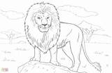 Coloring Pages Lion Jungle Drawing Realistic Animals African Easy Template Printable Colouring Pdf Getdrawings Wild Templates sketch template