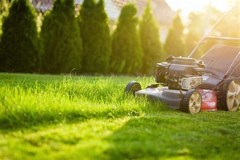 importance  properly mowing  grass  spring