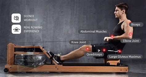 What Muscles Does Rowing Work Paddles Point