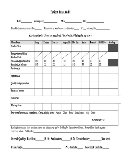 Test Tray Audit Form Fill Out And Sign Online Dochub