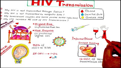 hiv transmission and prevention lecture for usmle nbde nclex mds youtube