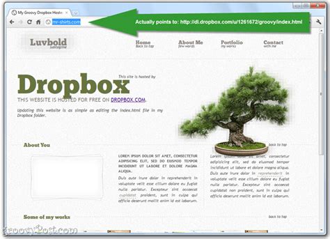 host  simple website  dropbox   domain masking