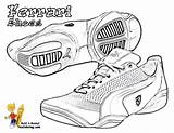 Coloring Pages Shoes Basketball Printable sketch template