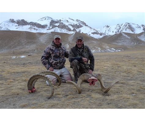 8 10 Day Marco Polo Mid Asian Ibex Hunt For 1 Hunter In Kyrgyzstan