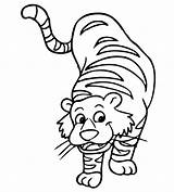 Tiger Coloring Pages Cute Template Printable Templates Baby Shape Colouring Color Print Animal Crafts Clipartmag Getcolorings sketch template