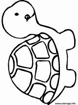 Tortue Turtle Bug sketch template